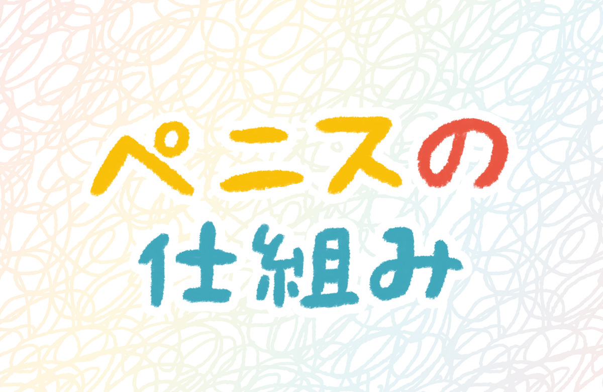 ペニス　ちんこ　仕組み　おしっこ　尿