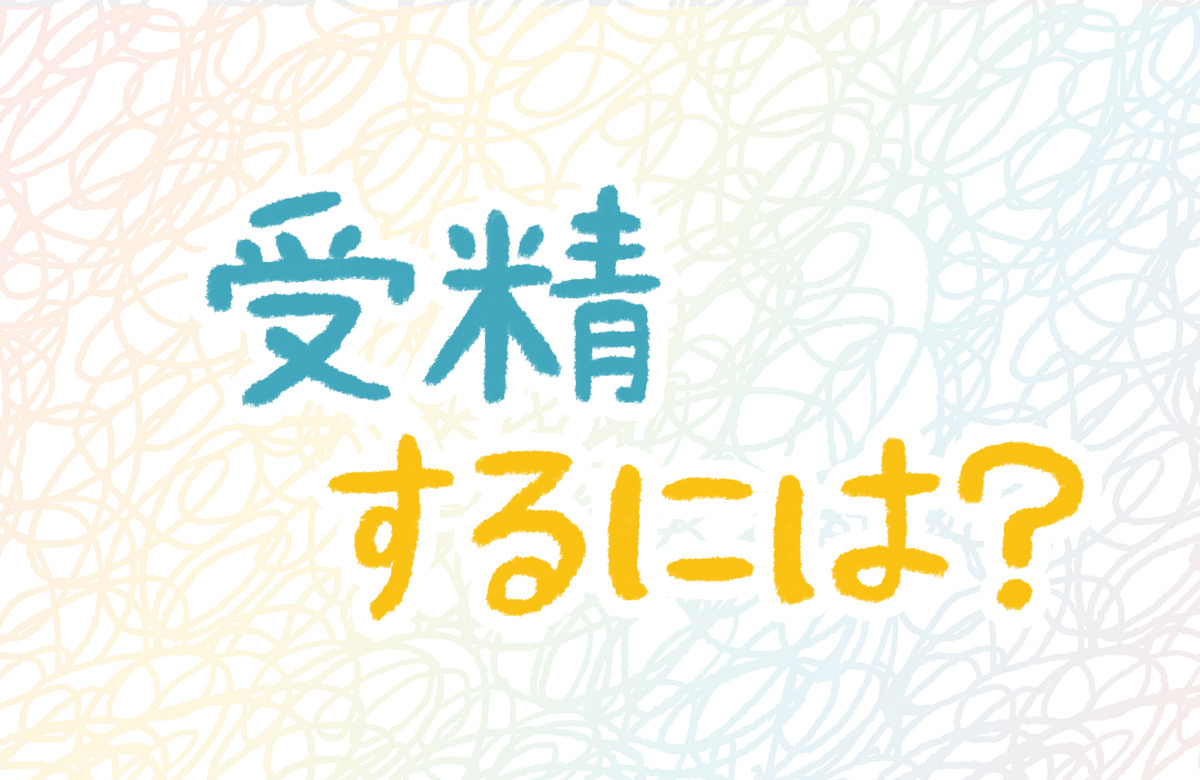 受精　方法　侵入　精子　卵子